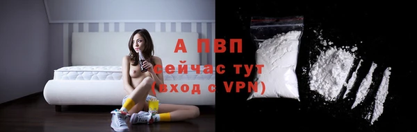 молекула духа Новокубанск