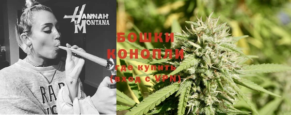 молекула духа Новокубанск