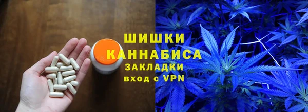 молекула духа Новокубанск