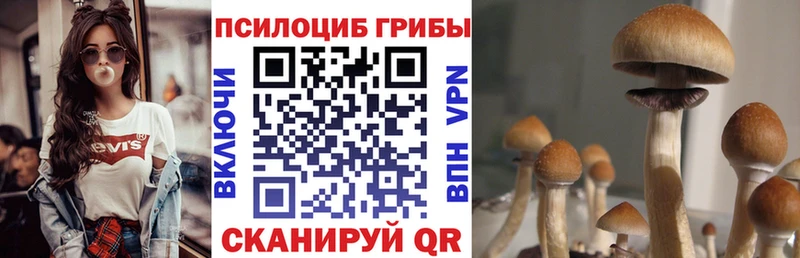 Псилоцибиновые грибы MAGIC MUSHROOMS  Зеленогорск 