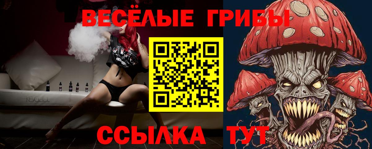 Галлюциногенные грибы мухоморы  Вход с VPN  Зеленогорск  Галлюциногенные грибы Psilocybe 